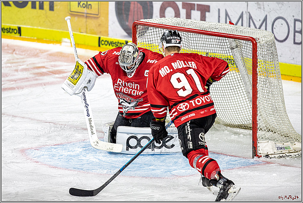 DEL;  Koelner Haie - Fischtown Pinguins Bremerhaven; Koeln, 22.12.2019